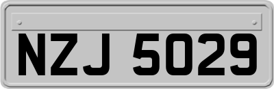 NZJ5029