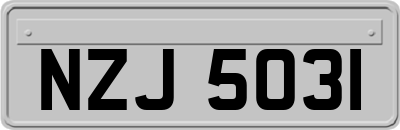 NZJ5031