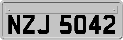 NZJ5042