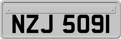 NZJ5091
