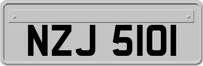 NZJ5101