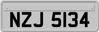 NZJ5134