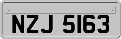 NZJ5163