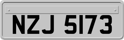 NZJ5173