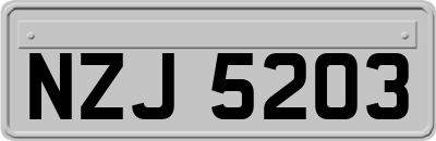 NZJ5203
