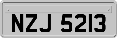 NZJ5213