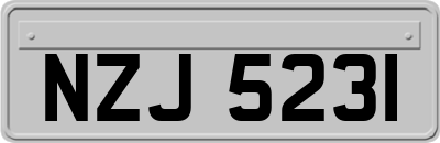 NZJ5231