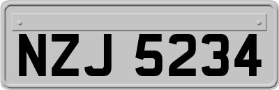 NZJ5234