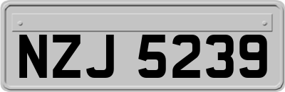 NZJ5239