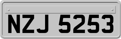 NZJ5253
