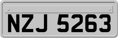 NZJ5263