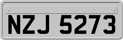 NZJ5273