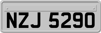NZJ5290
