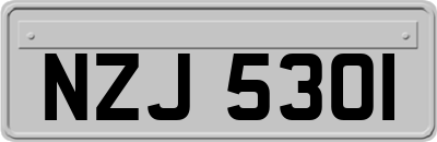 NZJ5301
