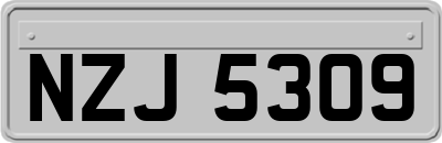 NZJ5309