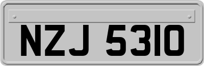 NZJ5310