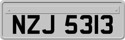 NZJ5313