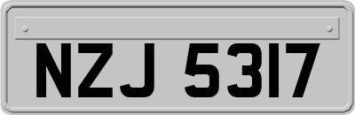 NZJ5317