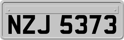 NZJ5373