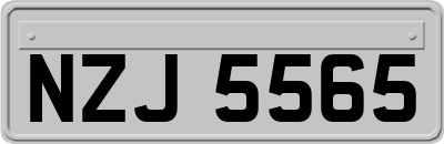 NZJ5565