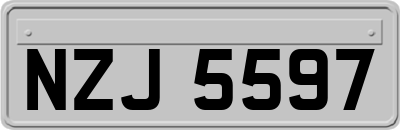 NZJ5597