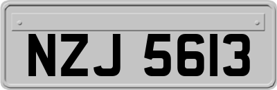 NZJ5613