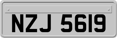 NZJ5619