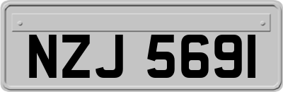NZJ5691