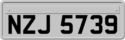 NZJ5739