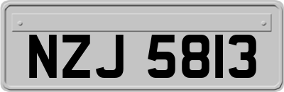 NZJ5813