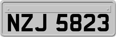 NZJ5823