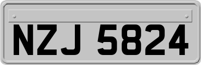 NZJ5824