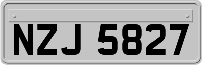 NZJ5827