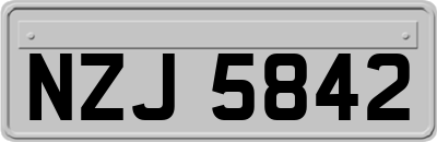 NZJ5842