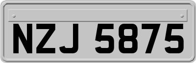 NZJ5875
