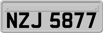 NZJ5877