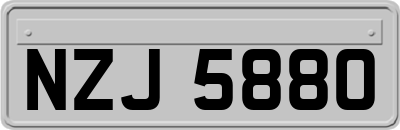 NZJ5880