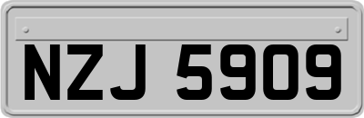 NZJ5909