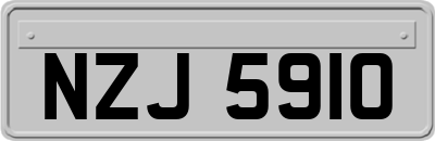 NZJ5910