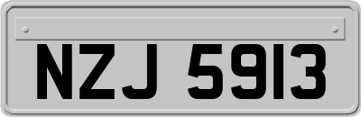 NZJ5913