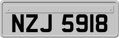 NZJ5918