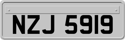 NZJ5919