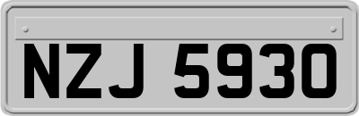 NZJ5930