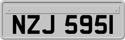 NZJ5951