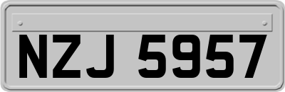 NZJ5957