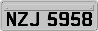 NZJ5958
