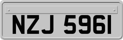 NZJ5961