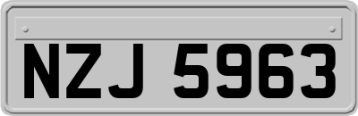 NZJ5963