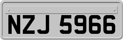 NZJ5966