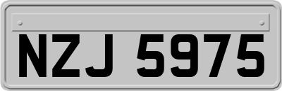 NZJ5975